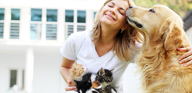 Assicurazione casa - Assicurazione animali domestici cane & Gatto